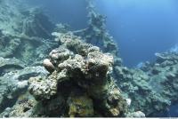 Photo Reference of Shipwreck Sudan Undersea 0057